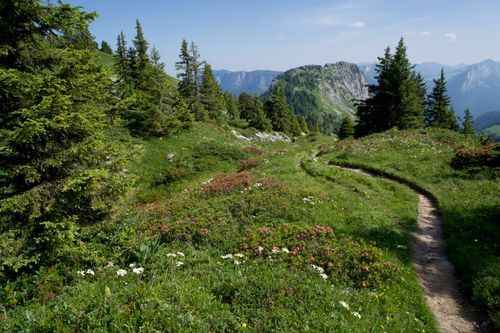 Exemple de lignes directrices naturelles en montagne