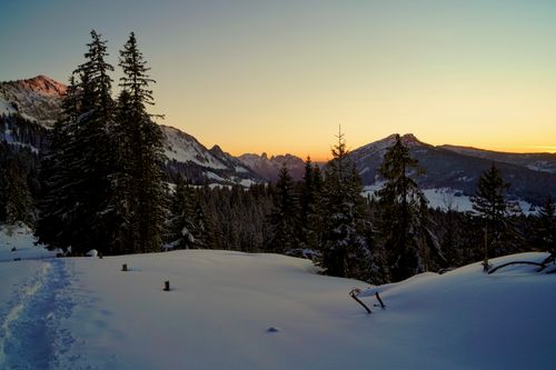 Milieu naturel préservé sans traces humaines
