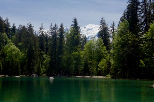 Lac Vert a Passy: fotografare un lago alpino nel bosco