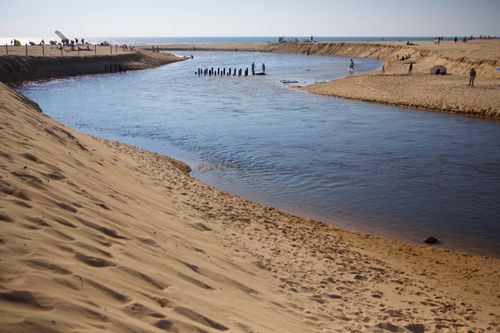 Courant d'Huchet : Rivière sauvage des Landes